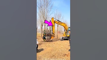 unbelievable, this machine removed the trees without cutting them #shortsvideo