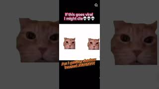 Dont Mind The Random Background