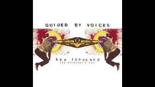 Guided By Voices - At Odds With Dr. Genesis