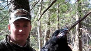 Celebrity Bruce the Crow Whisperer Wealth