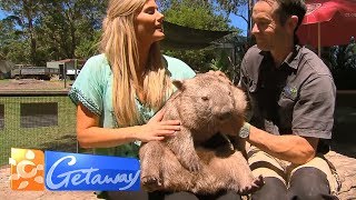 Shoalhaven Zoo with Sam McClymont | Getaway