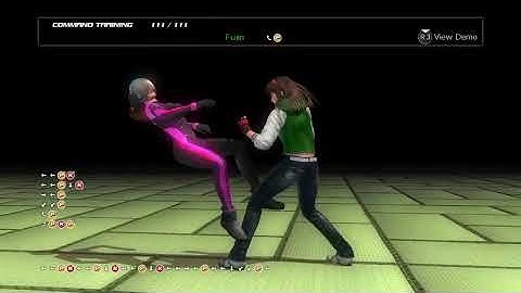 DEAD OR ALIVE 5 Last Round Hitomi Command  List