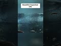 Dreamy Aquarium Vibes Tiny Fish, Lush Plants, Pure Serenity