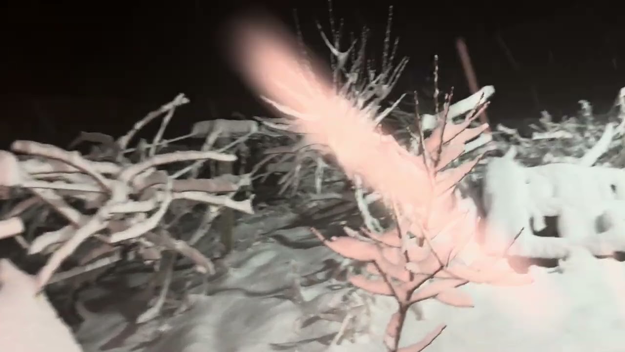 Kar yağıyor…. 25.02.2026 saat:22:00