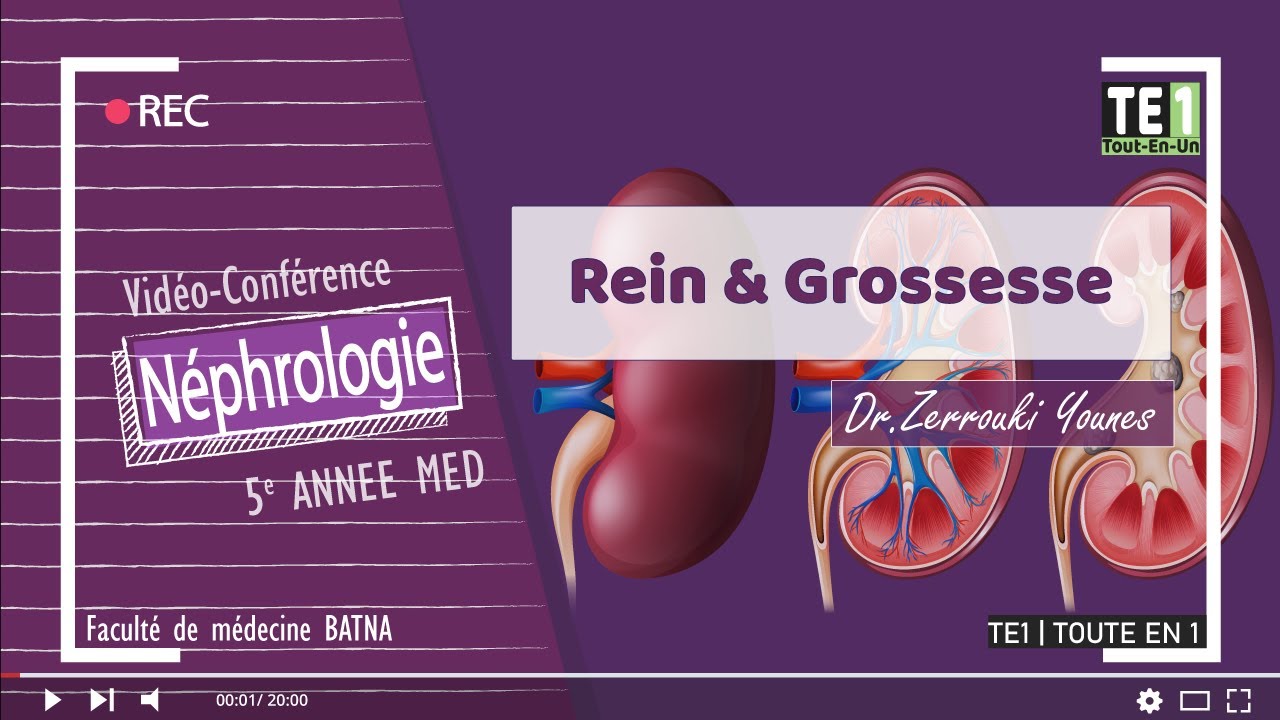 rein-et-grossesse-youtube