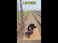 #Favorite Degree Incentive Plan #Funny #Funny Video #Funny Family #High-Energy Joke Master