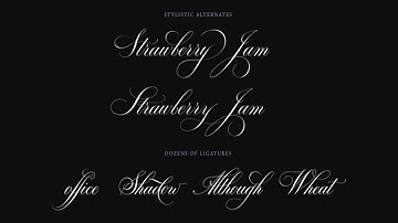[GET] Bodega Script font family