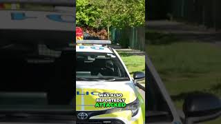 Iran Ship Seized: Oil Prices Surge Amid London Arson Attacks #shorts