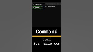 How to Get Your Public IP Address in Linux CLI