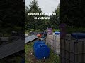 Durian farm - what is inside?? #what111side #whatinside #durianfarm #vietnam #farming #fruit #durian