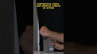 How Does Centrifugal Force Act On The Beads? #Science #Physics #Experiment