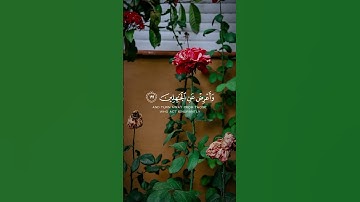 تلاوة تريح القلب القارئ#عبدالرحمن_مسعد #حالات_واتساب_دينية#راحة_نفسية #قران_كريم #قرآن #اكسبلور 🍃🍃