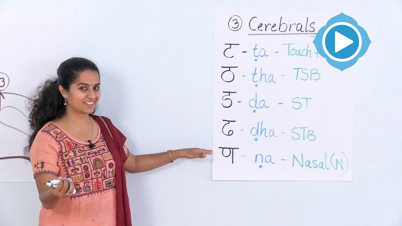 Sounding the Five Cerebrals - Mother Tongue Season 3 language translator