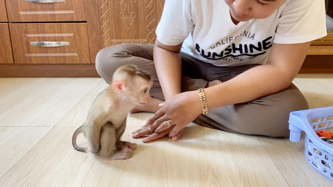 Jeez!! DAM So Funny Scratch On Old Diaper And Smelling