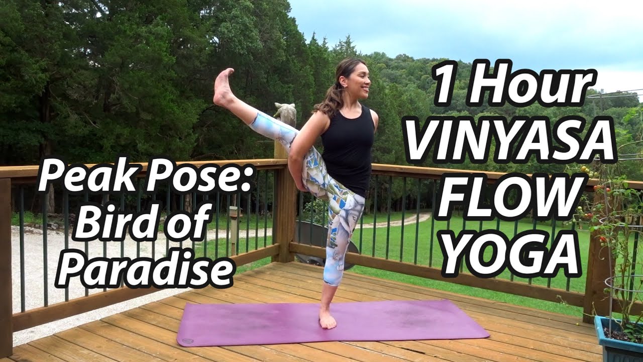 60 Minute Vinyasa Flow Yoga to Bird of Paradise 🦅 Improve Overall