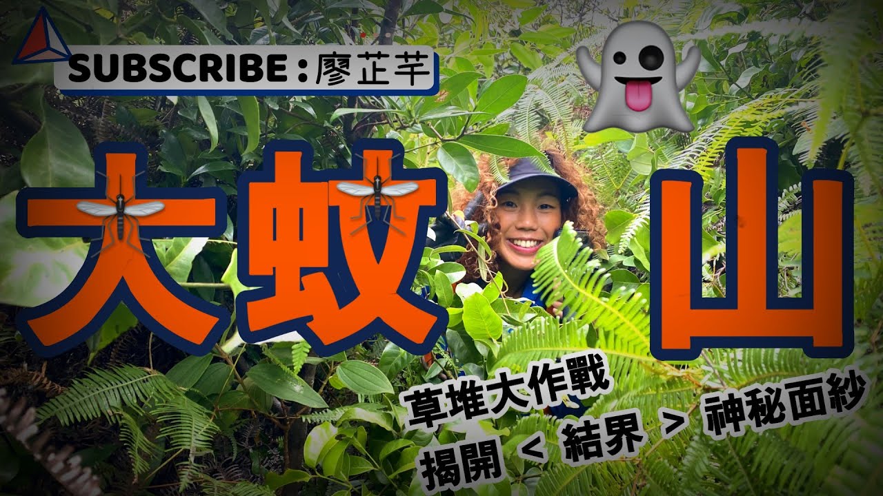 [探險系列]結界之地 : 大蚊山🦟草堆大作戰🌳🌳揭開結界神秘面紗👻無人之境🚶
