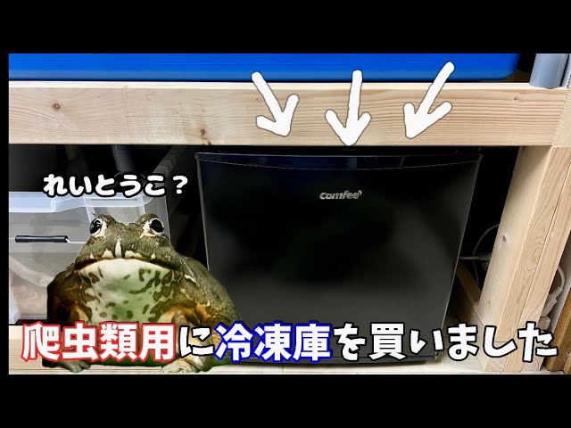 I Bought a Freezer for My Reptiles 
