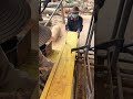 Grain Doré : Sciage Vertical de Précision de Bois Massif