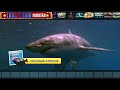 PROMO : Hollywood Movie " SHARK ZONE " in #Telugu on 14th JUNE 2026 #sunday ay @ 11:00am