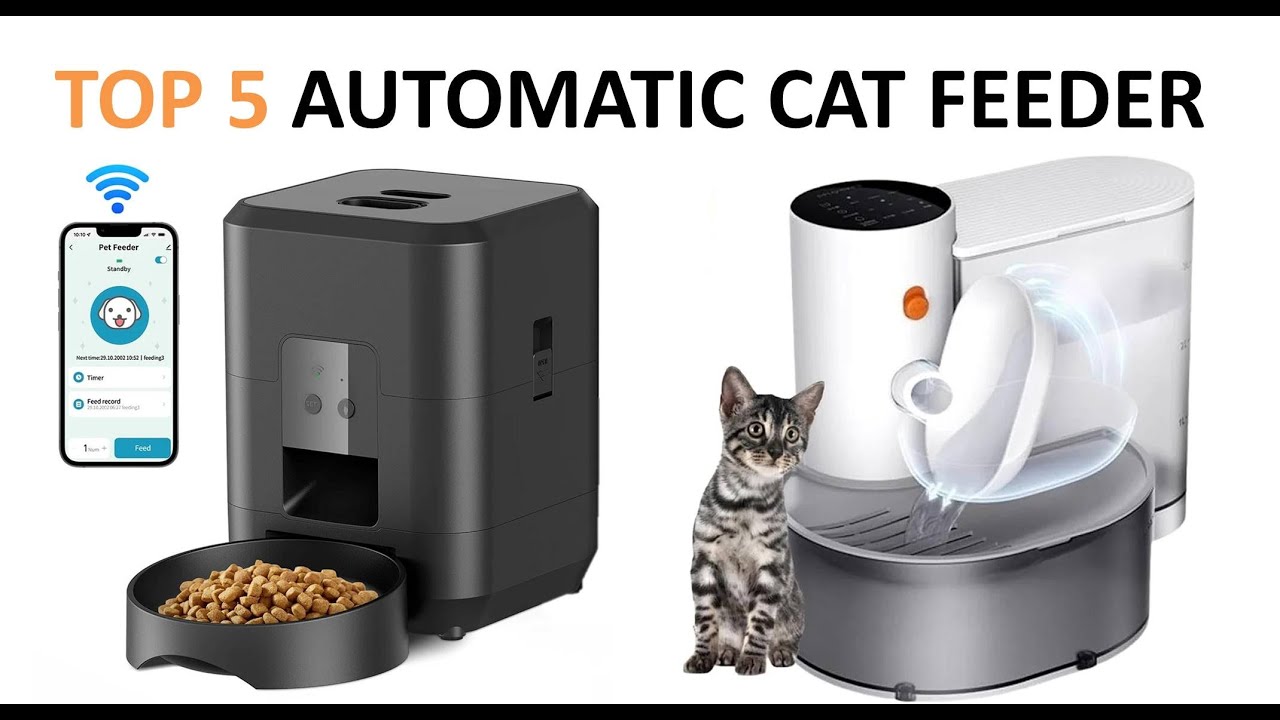 TOP 5 Best Automatic Cat Feeder 2025 - Cat Feeder Reviews 2025