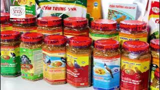 giới thiệu công ty cám chim vương việt anh