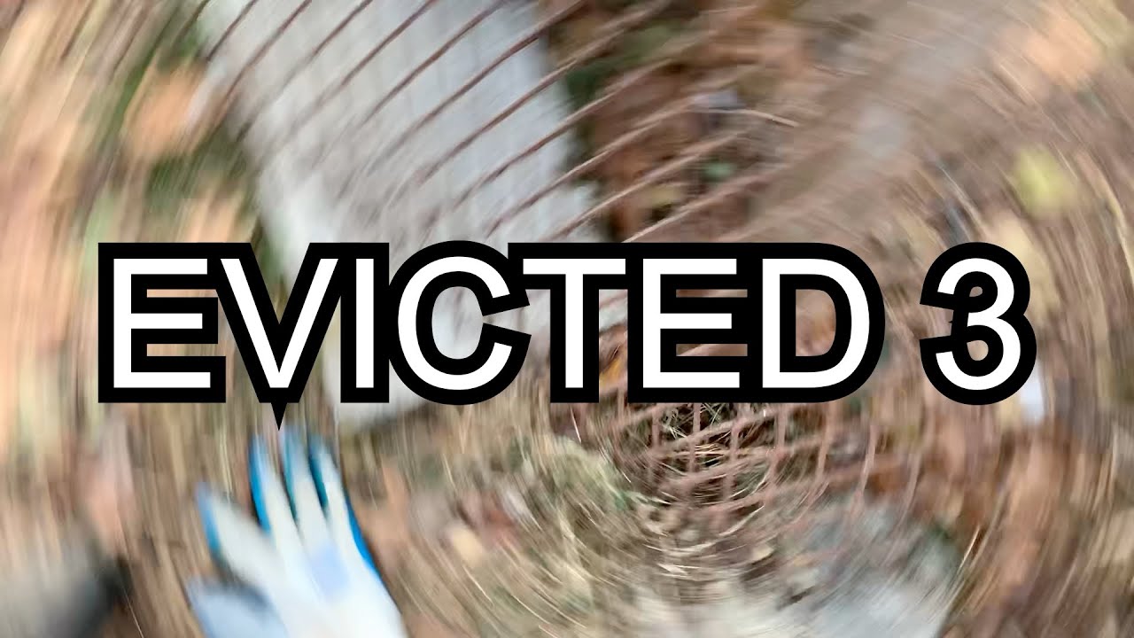 DAY 1014: Evicted 3 - YouTube
