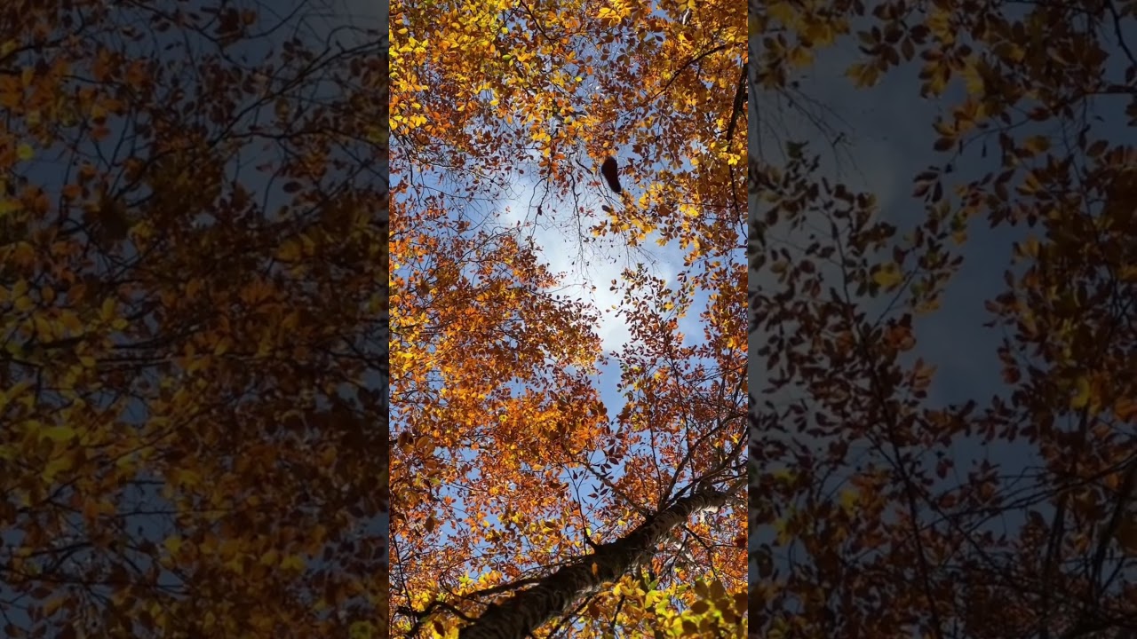 Stay here for a while, lie down and stare at the sky. Take a break 