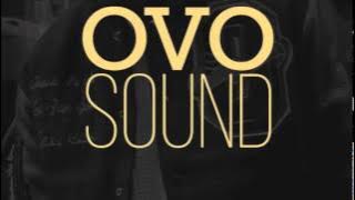 Drake ~ Why We Hustle (Feat. PARTYNEXTDOOR) (FUTURE) (New Songs 2025) ( Download)