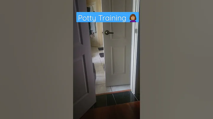 Monday Mommy Moment: My #Toddler's #PottyTraining Adventure #thestruggleisreal #momlife #sendhelp