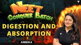 Digestion and Absorption | Part - 1 | NEET 2024 Conquer Batch | Ambika Sharma screenshot 4