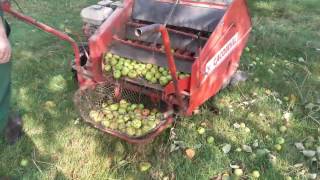 Pomme a cidre 2016