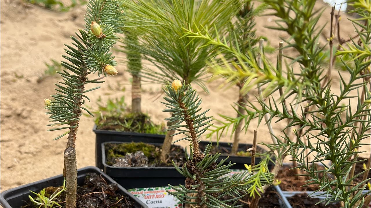 Распаковка 2й посылки из магазина Опт-Хоз