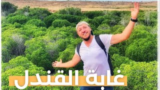 مغامرة هايكنج الى غابة القندل في جزيرة  فرسان #السعودية