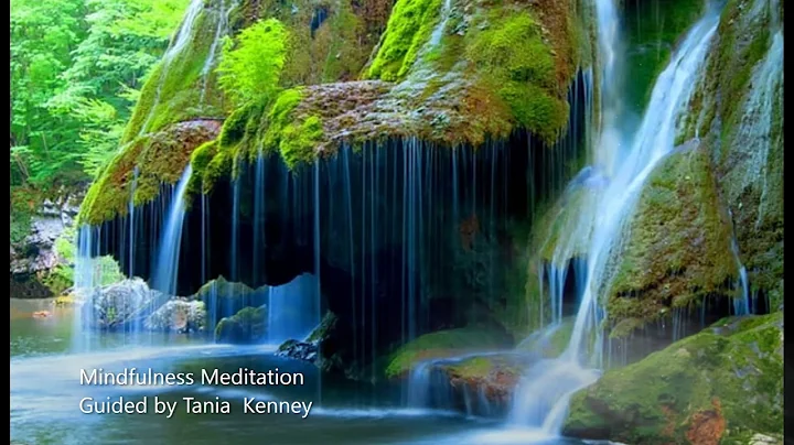 Mindfulness Meditation