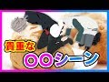 男性VTuberの貴重な○○シーン