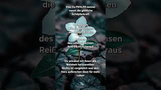 You got me Like the wildflower💓#fürdich#truevalue#deepconnection #soulvalue#onlywithyou#liebe#pure