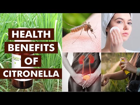 HEALTH BENEFITS OF CITRONELLA