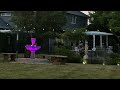 An Evening at My Backyard Garden in Early June🪴! Please like, Share & Subscribe ✨🥰👌