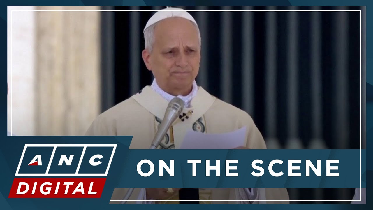 Pope Leo XIV calls for peace in Gaza and Ukraine during homily | ANC ...