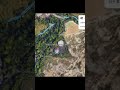 Google earth back room #googleearth #backrooms