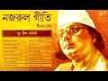 Best Nazrul Geeti Collection of Dhiren Bose | Nazrul Geeti | Bengali Songs of Nazrul Mp3 Song