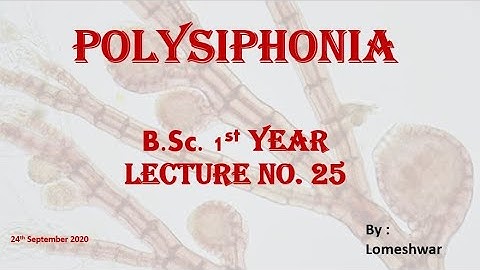 Plant Biodiversity Polysiphonia occurrence,Thallus structure