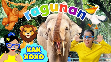 RAGUNAN ZOO | BELAJAR TENTANG HEWAN HUTAN DI KEBUN BINATANG | VIDEO EDUKASI ANAK & BALITA | KAK XOXO