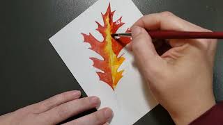 Information How to paint a crisp red oak leaf! News
