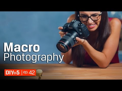 Video: How To Learn To Take Beautiful Macro Shots