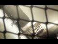 Steins Gate True End AMV Radioactive Steins Gate True End AMV Radioactive