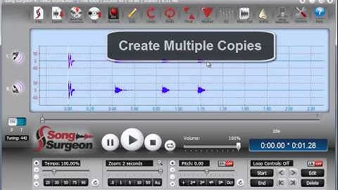 Creating a drum loop in Song Surgeon