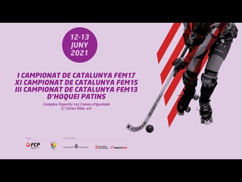 Vídeo: Calendari Del Partit Del Campionat Mundial D’hoquei Sobre Gel