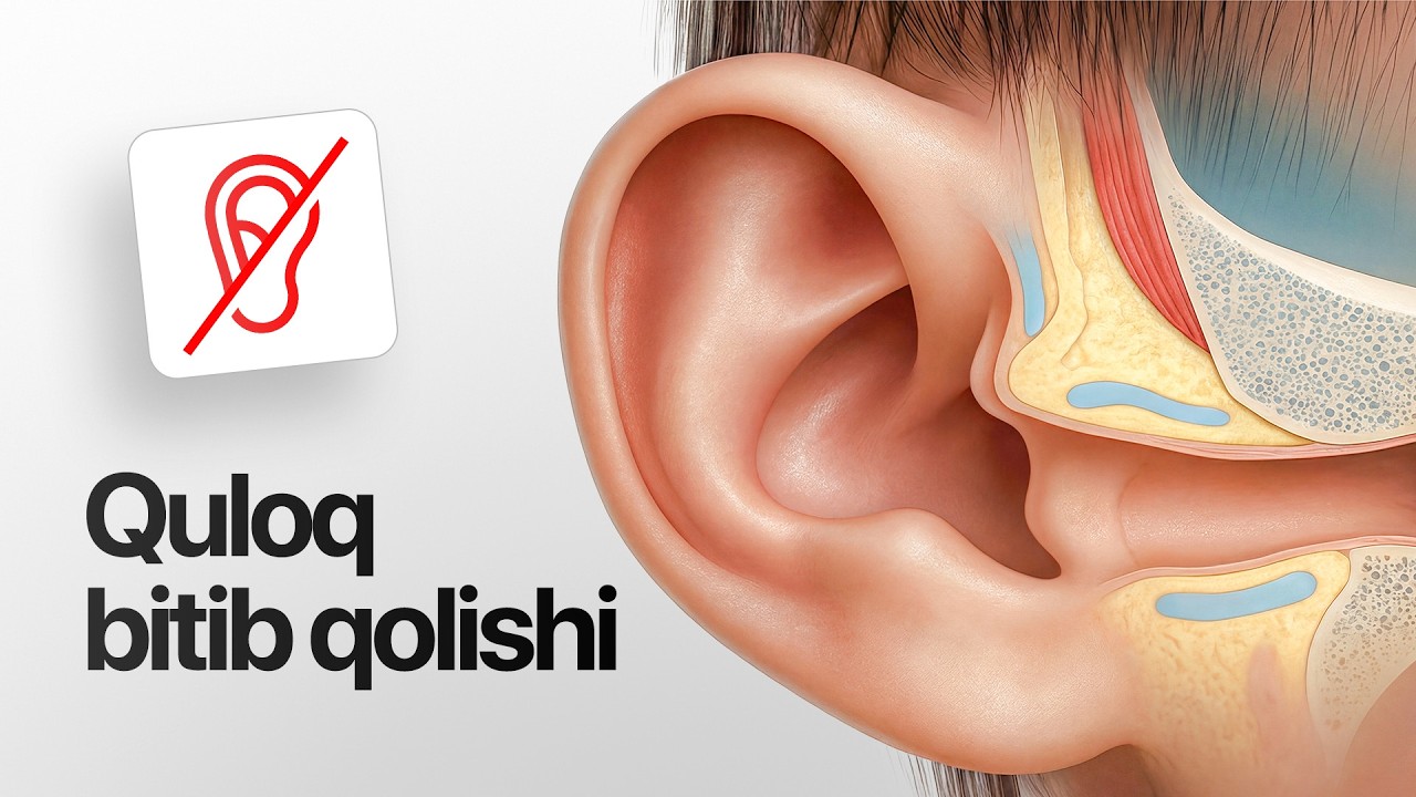 Quloq bitib qolganda nima qilish kerak?
