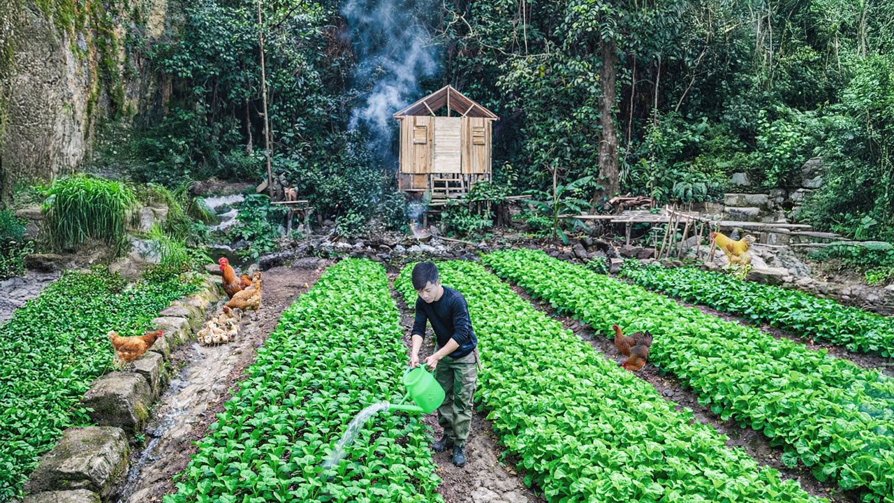 Full Timelapse Off-Grid Journey — From City Life to a Quiet Forest Home